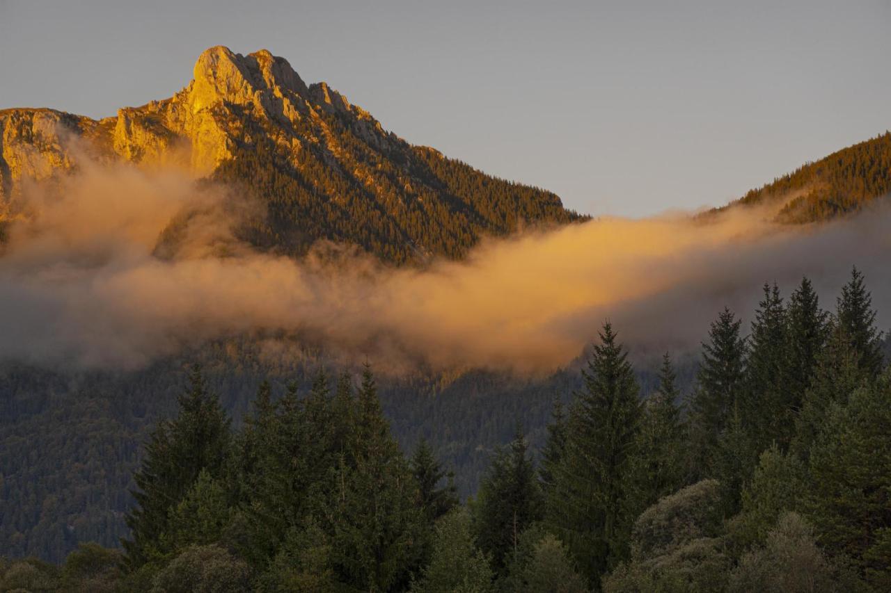 Gori Boutique Apartments - Tirol Reutte Eksteriør bilde
